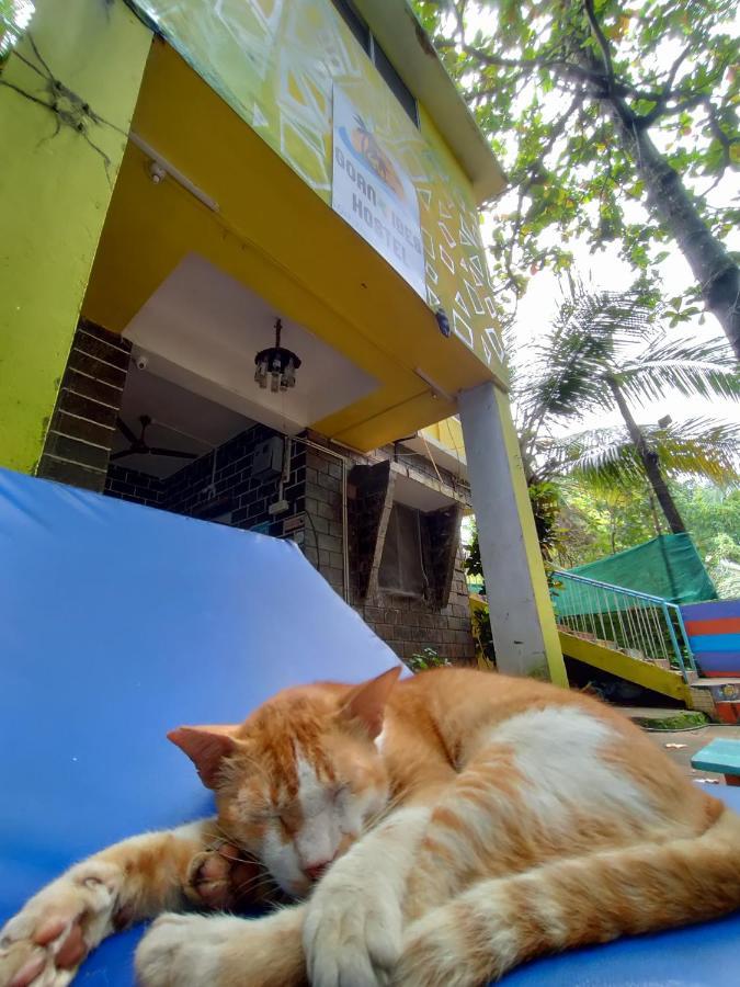 أنجونا Goanvibes Hostel المظهر الخارجي الصورة