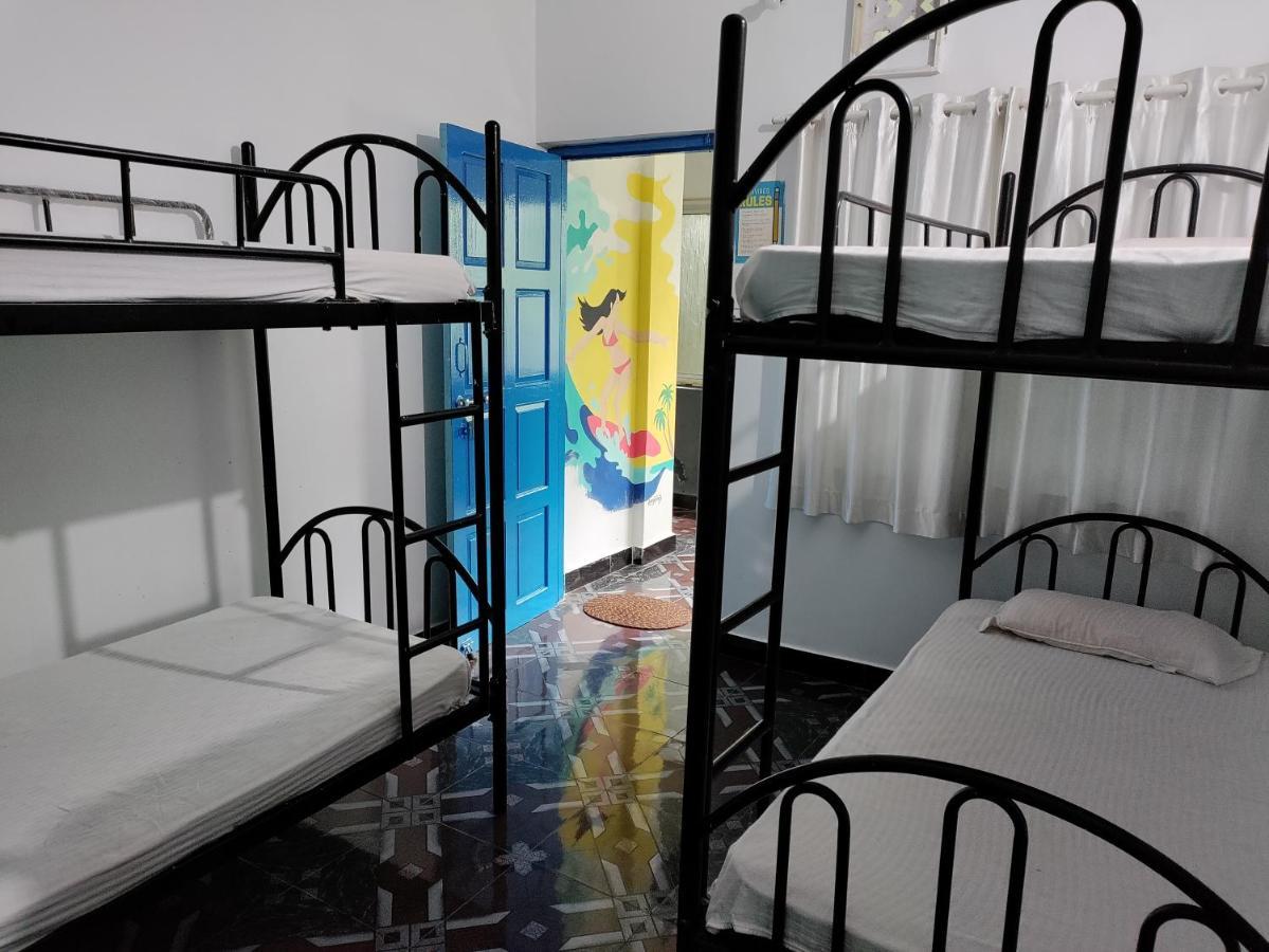 أنجونا Goanvibes Hostel المظهر الخارجي الصورة